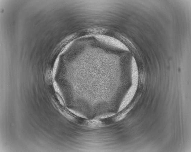 X0000085820429200704091637