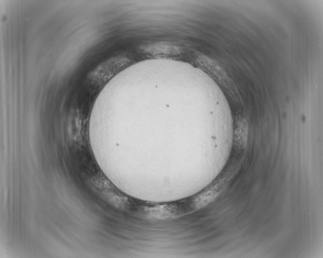 X0000085820430200704091637