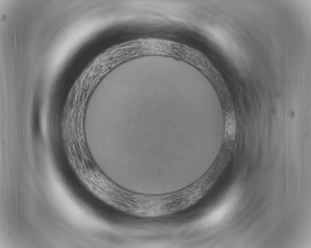 X0000085820431200704091637