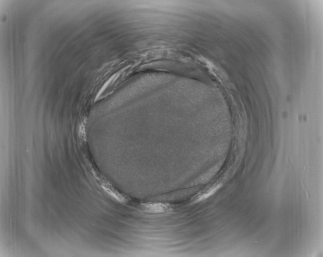 X0000085820432200704091637