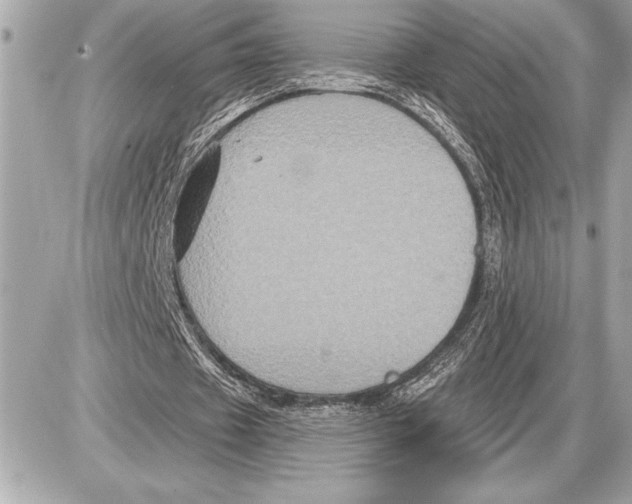 X0000085820433200704091636