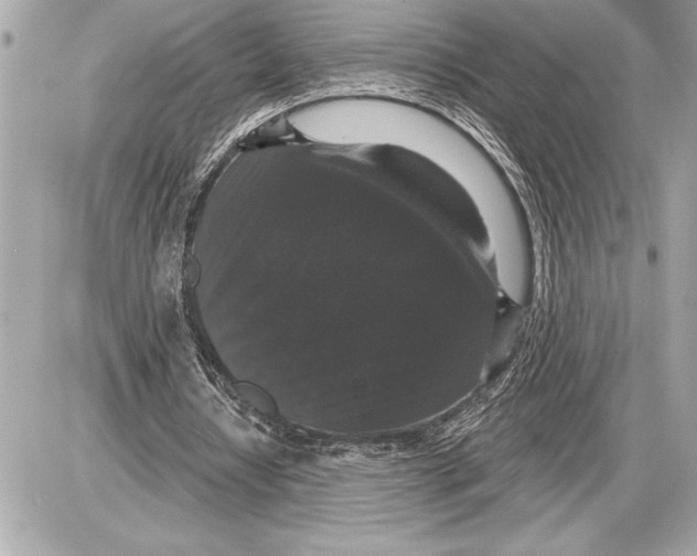 X0000085820434200704091636