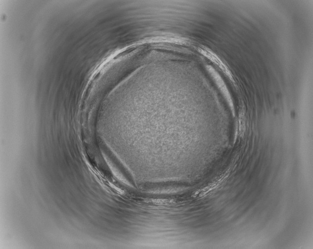 X0000085820436200704091636