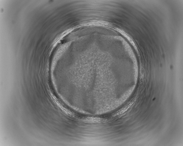 X0000085820437200704091636