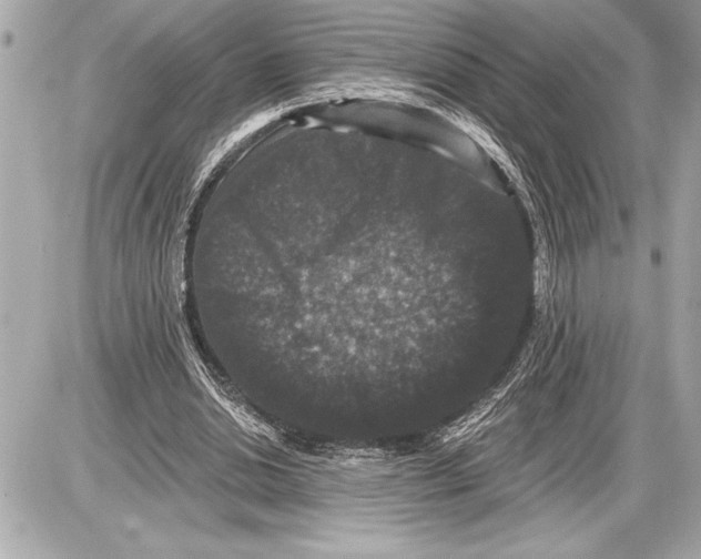 X0000085820438200704091636