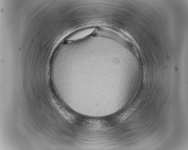 X0000085820439200704091636