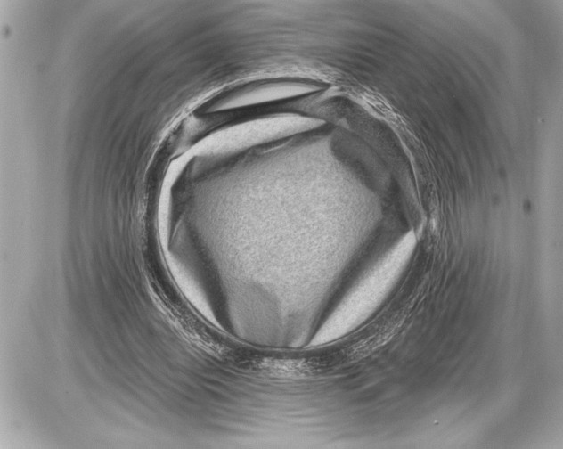 X0000085820440200704091636