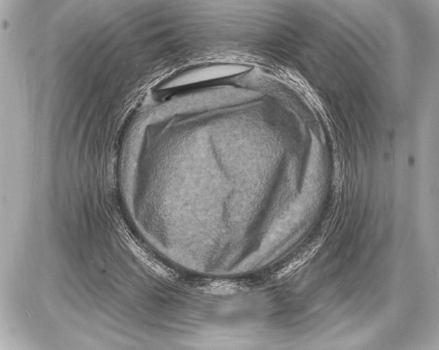 X0000085820441200704091636