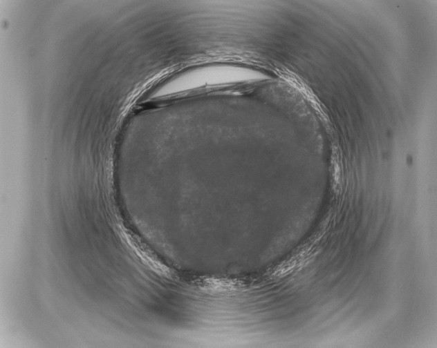 X0000085820442200704091636