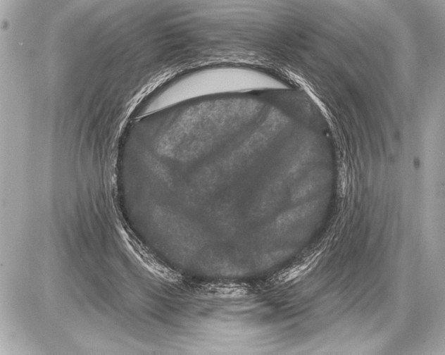 X0000085820443200704091636