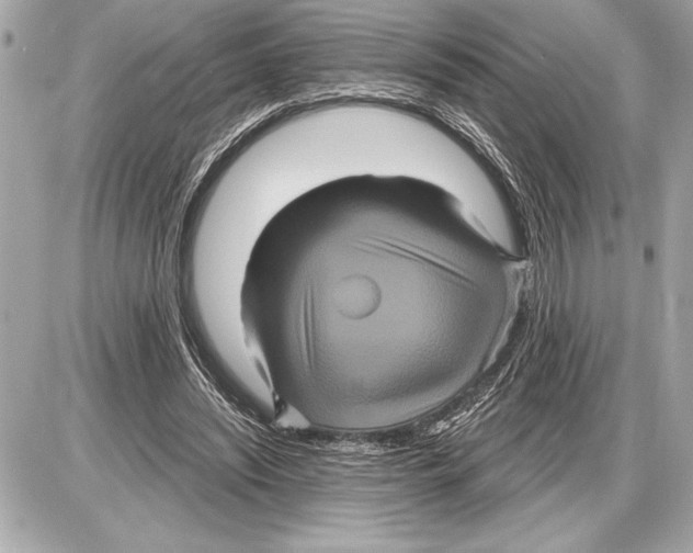 X0000085820444200704091636