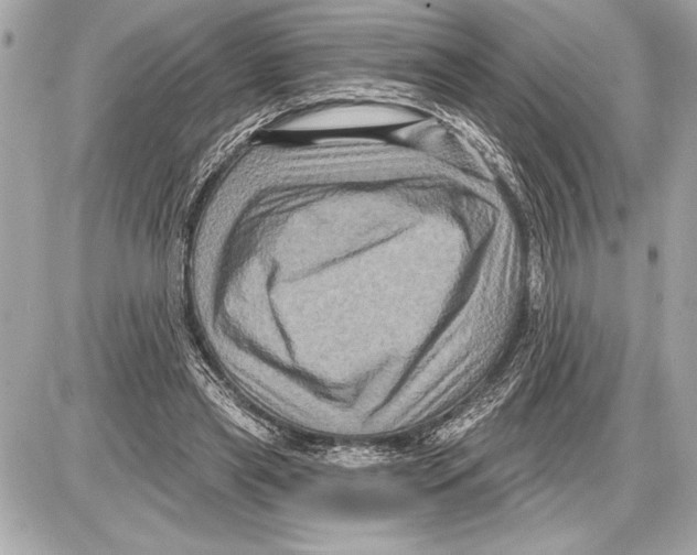 X0000085820445200704091636