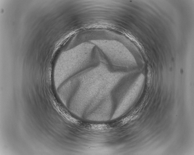 X0000085820446200704091636