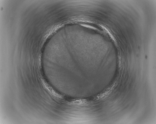 X0000085820447200704091636