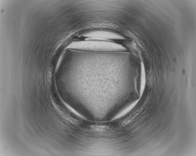 X0000085820448200704091636