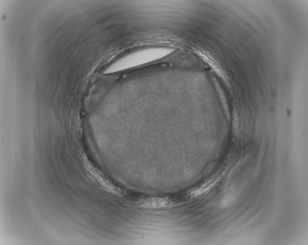 X0000085820449200704091636