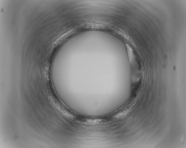 X0000085820450200704091636