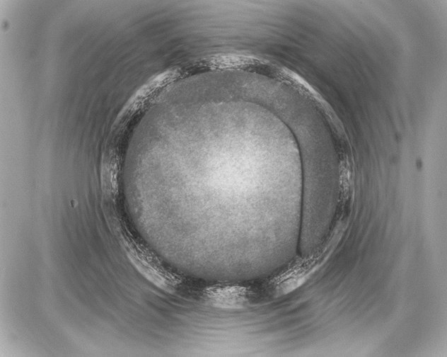 X0000085820452200704091636