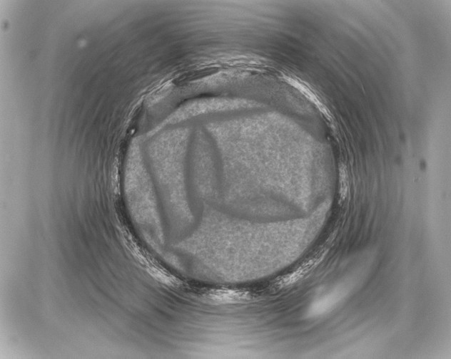 X0000085820453200704091636