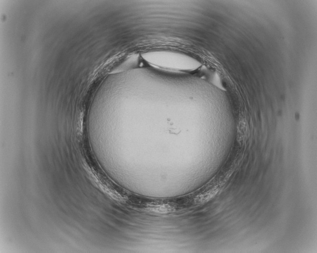 X0000085820454200704091636