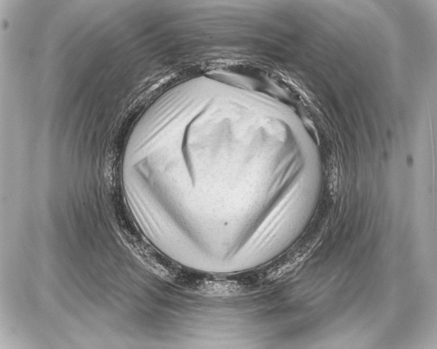 X0000085820455200704091636