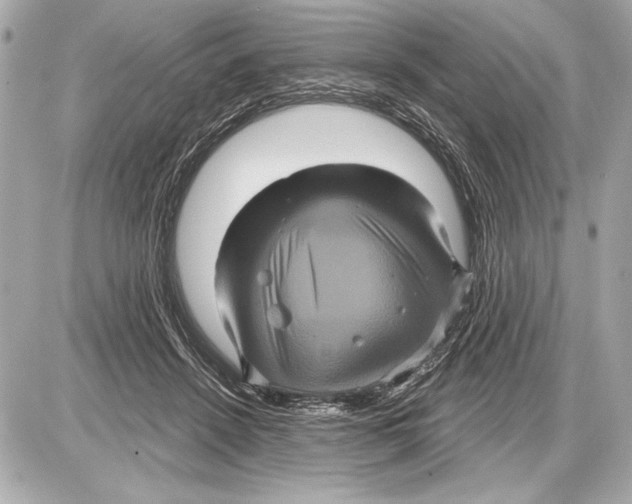 X0000085820456200704091636