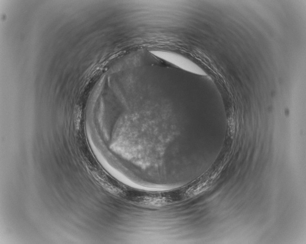 X0000085820458200704091636