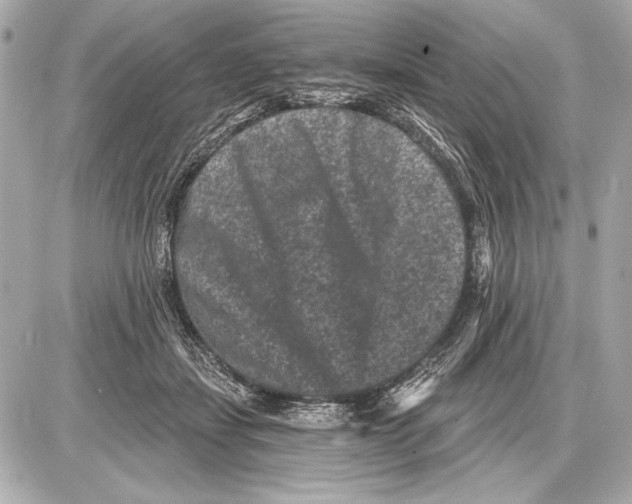 X0000085820459200704091636