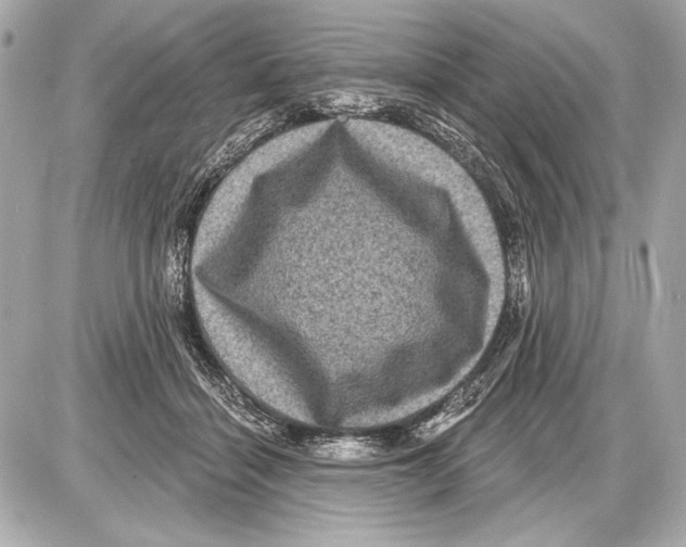 X0000085820460200704091637