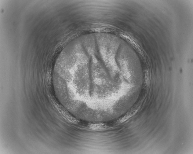 X0000085820461200704091637