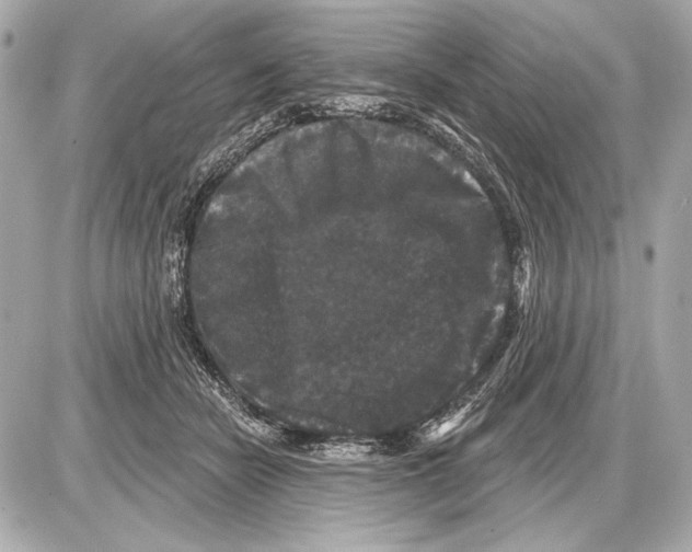 X0000085820462200704091637