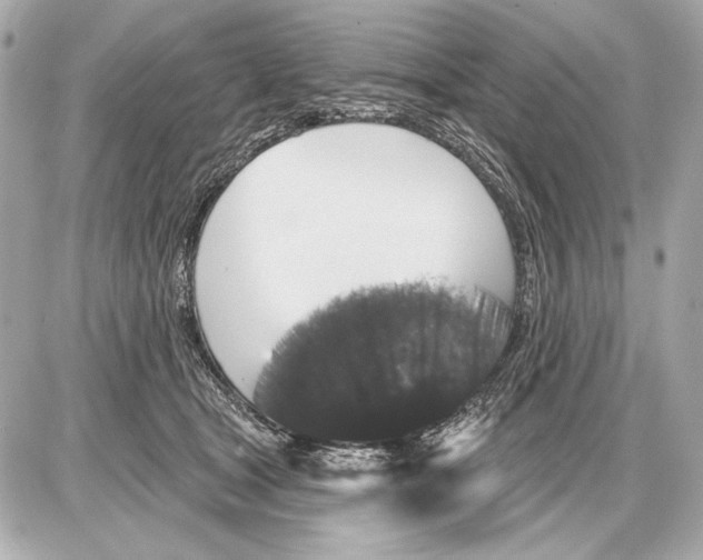 X0000085820465200704091637