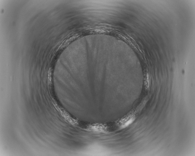 X0000085820466200704091637