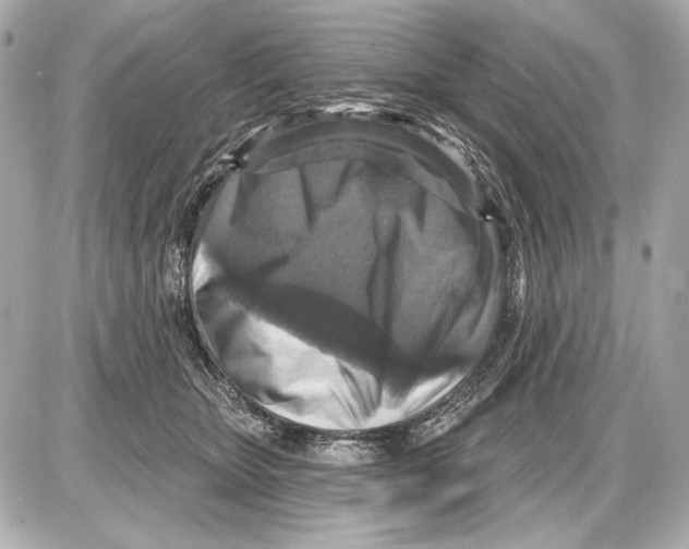 X0000085820467200704091637