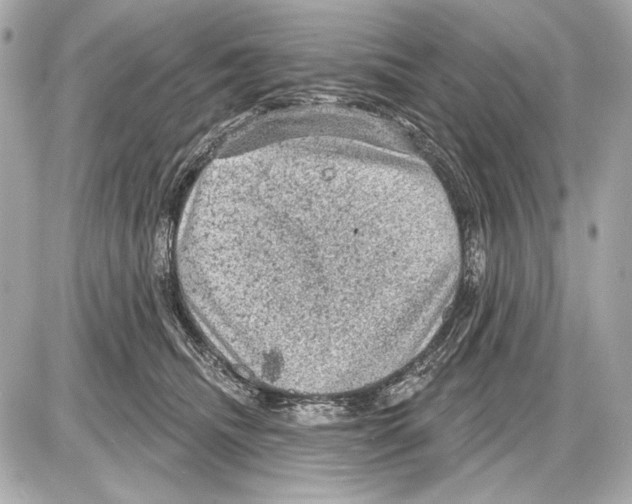 X0000085820468200704091637