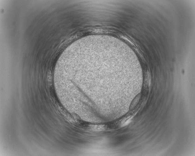 X0000085820469200704091637