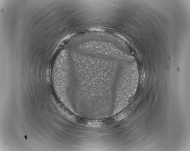 X0000085820470200704091637