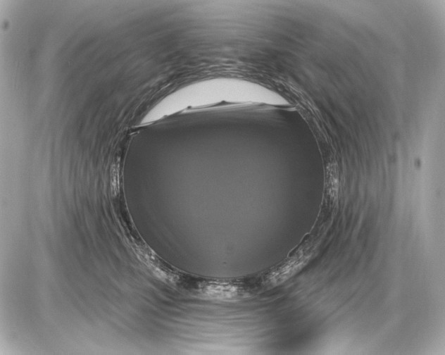 X0000085820471200704091637