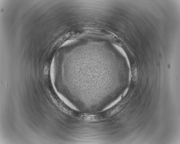 X0000085820472200704091637