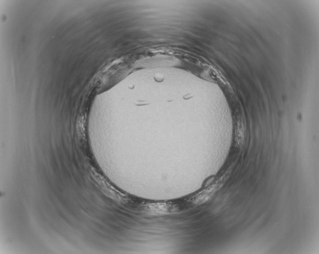 X0000085820473200704091637