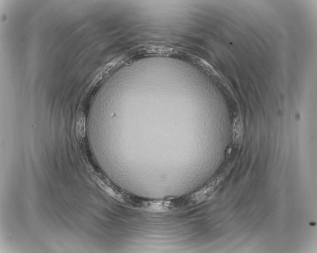 X0000085820474200704091637