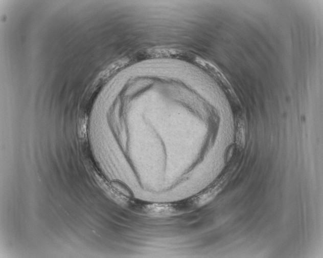 X0000085820477200704091637