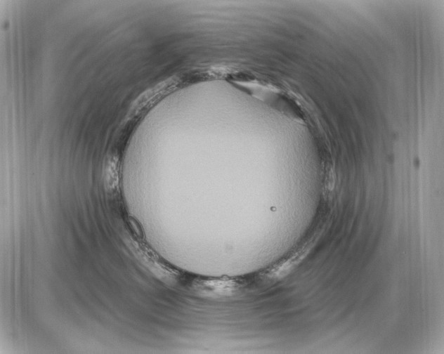 X0000085820478200704091637