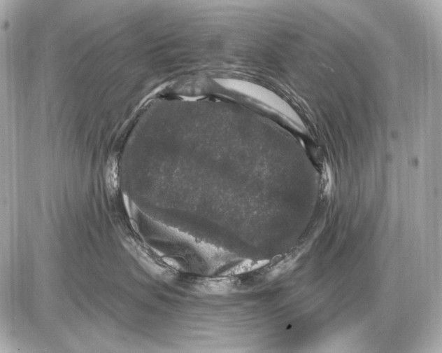 X0000085820479200704091637