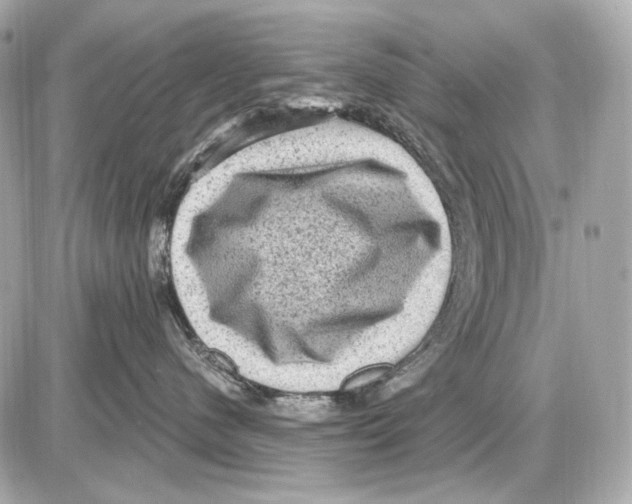 X0000085820480200704091637