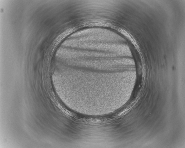 X0000085820481200704091636