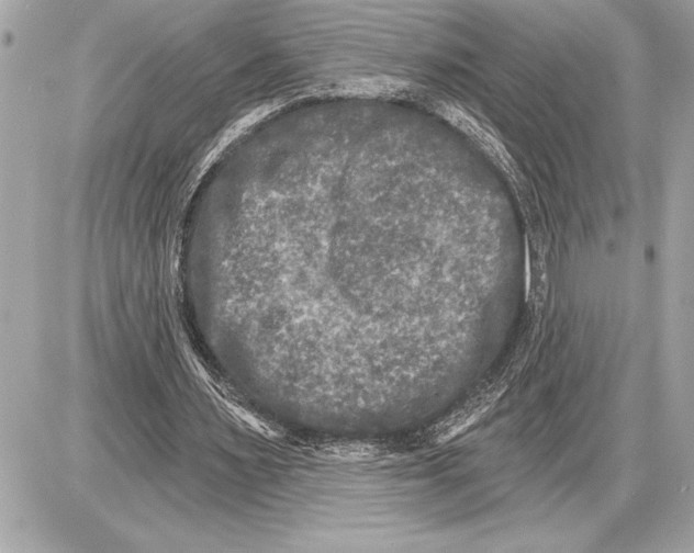 X0000085820483200704091636