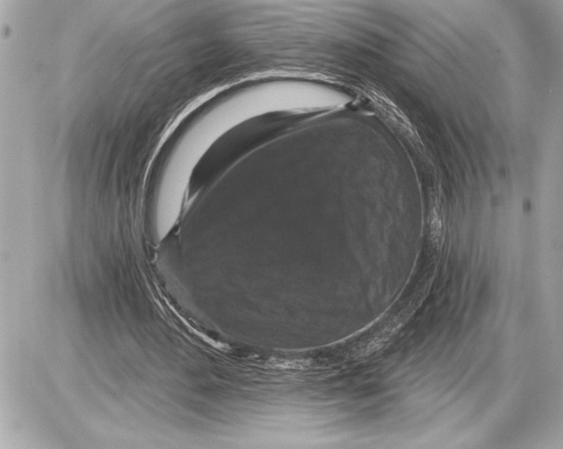 X0000085820484200704091636