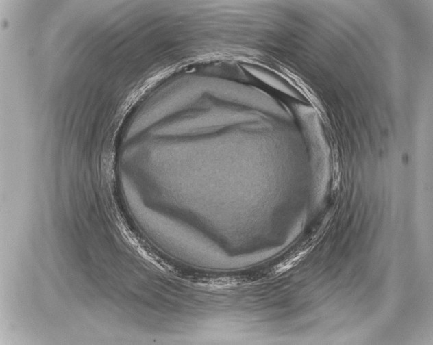 X0000085820485200704091636