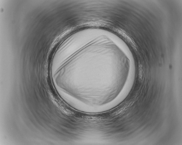 X0000085820486200704091636